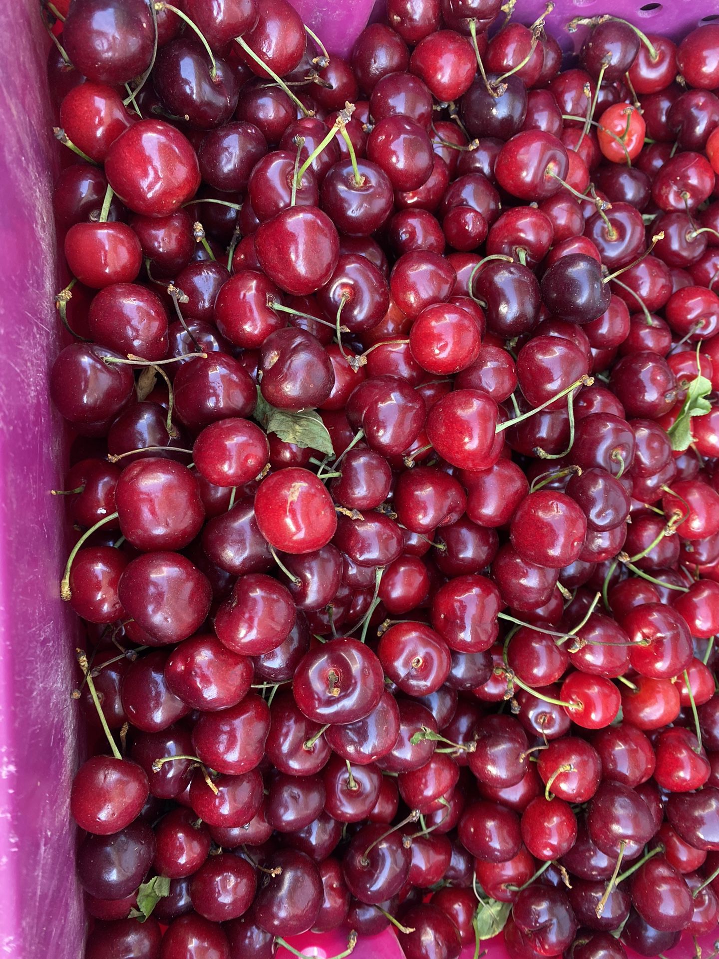 Cherries 🍒 $3 a lb OR 3lbs for $8