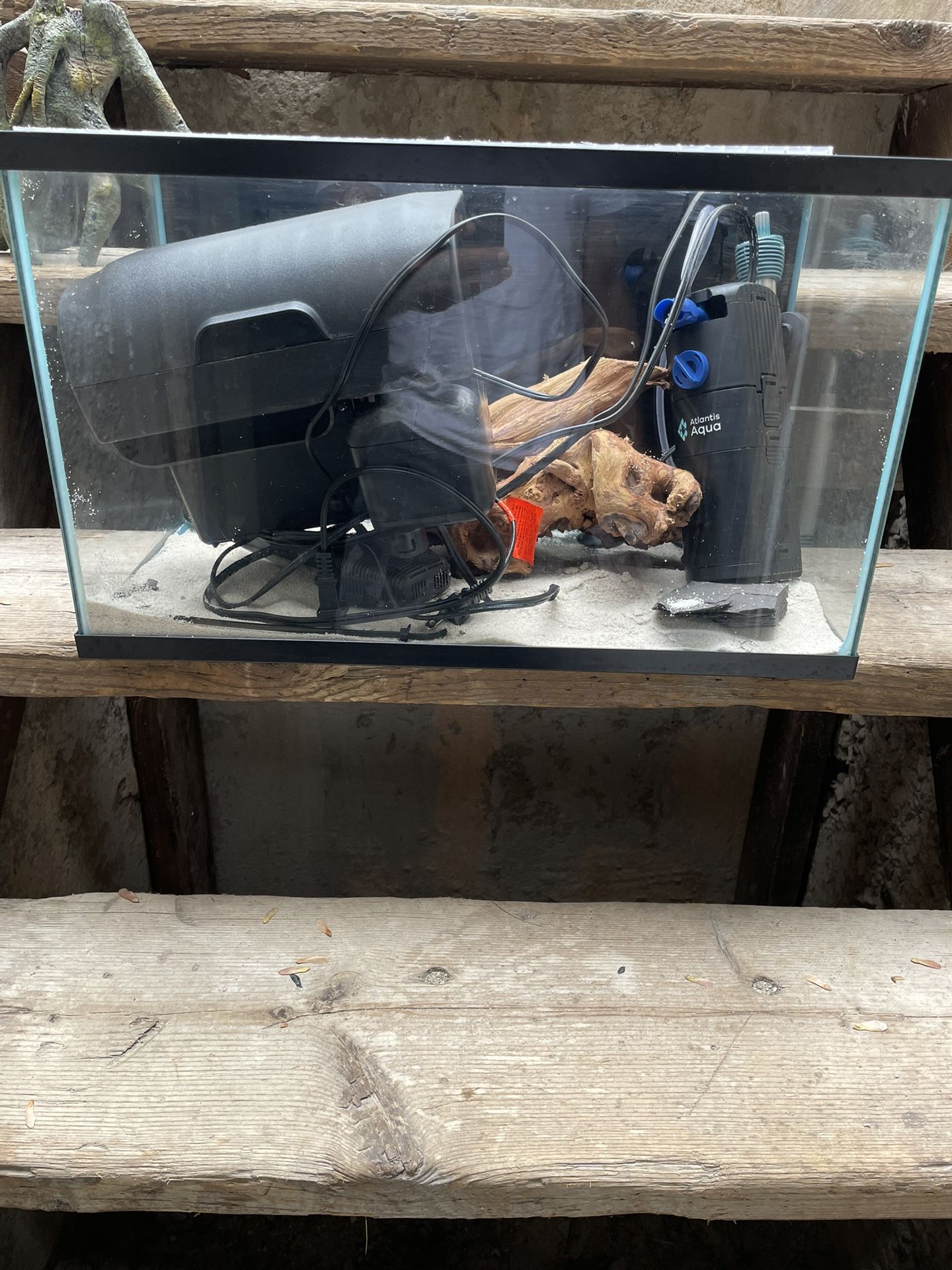 10 gallon Aquarium