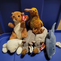 Beanie Babies