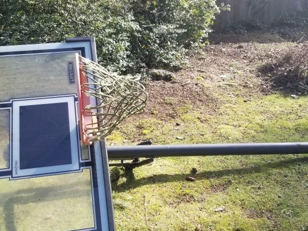 Adjustable Height Basketball Hoop