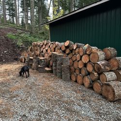 Firewood