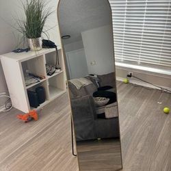 2 Full-Length Mirrors with Stands