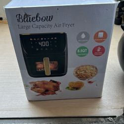 Blue bow Air Fryer 