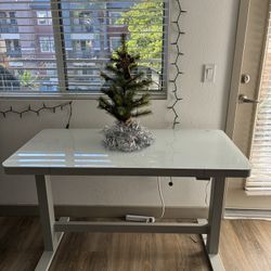 Costco Standing Desk with Chair