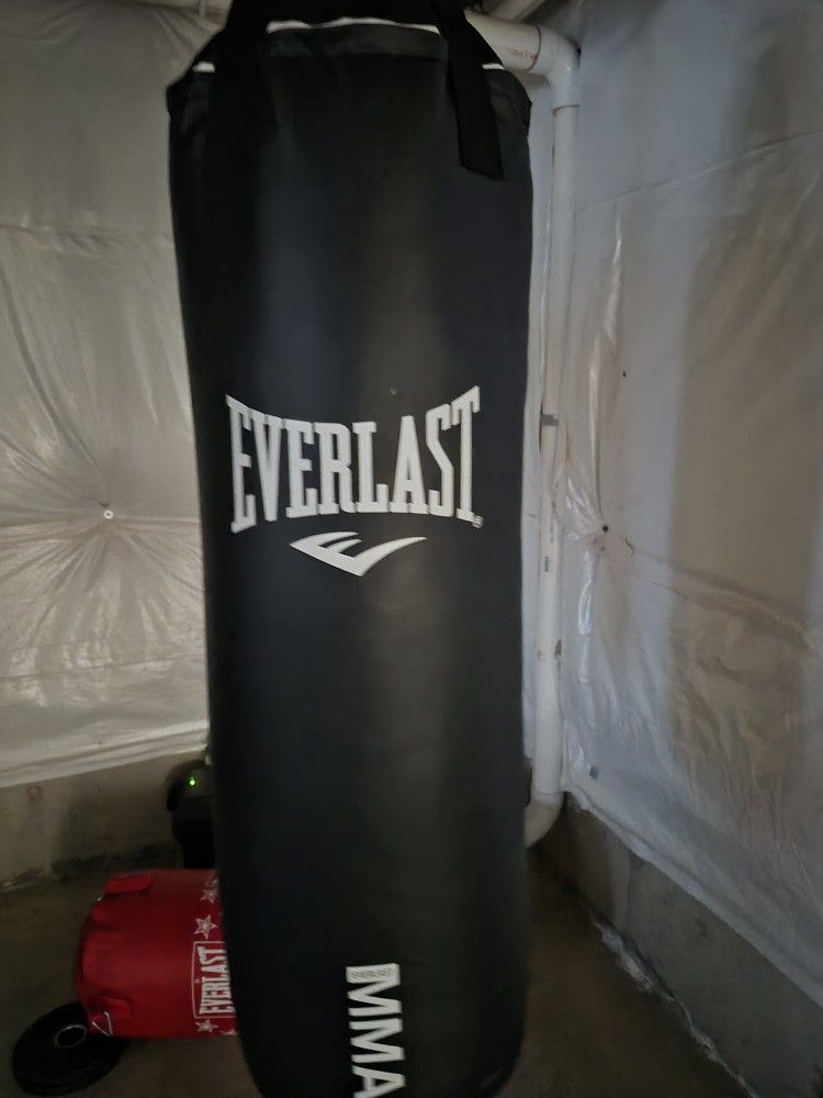 Everlast 70lb NEW Punching Bag