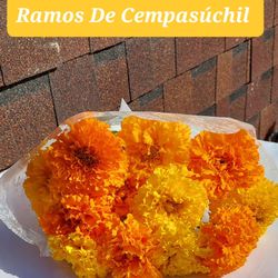 Ramona De Cempasichil Para Sus Queridos Difuntos