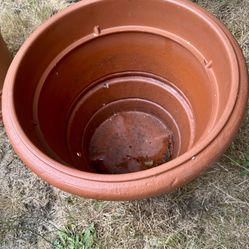 Plant pots