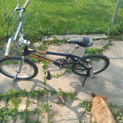 Hi I'm Selling My Dyno GT