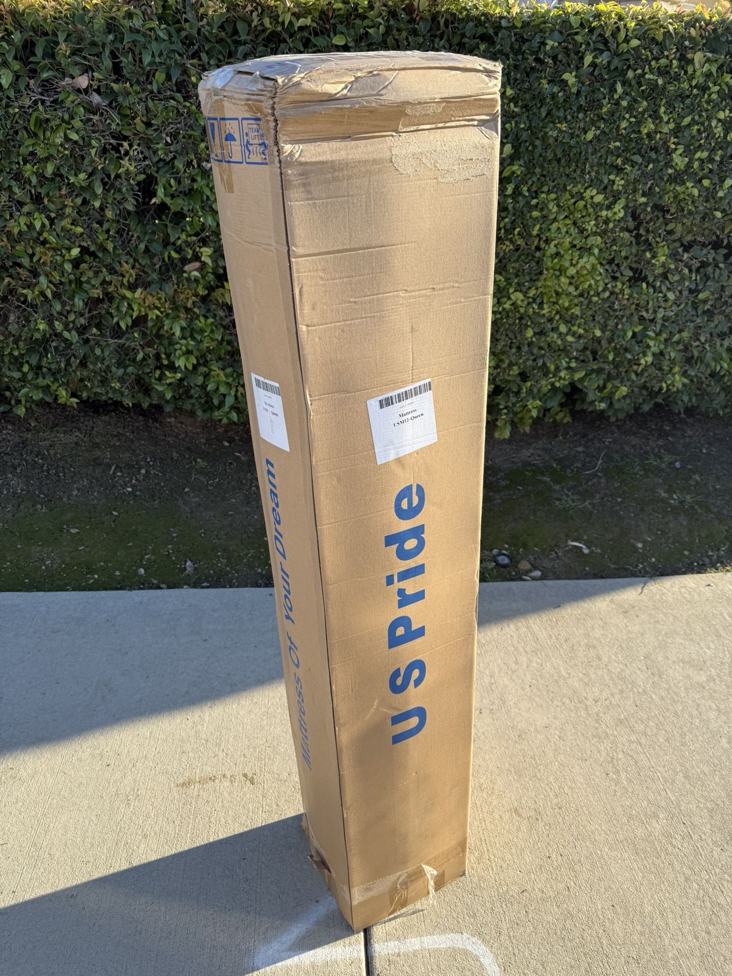 Queen Size Mattress 12in π΄π¦