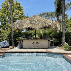 Palapa