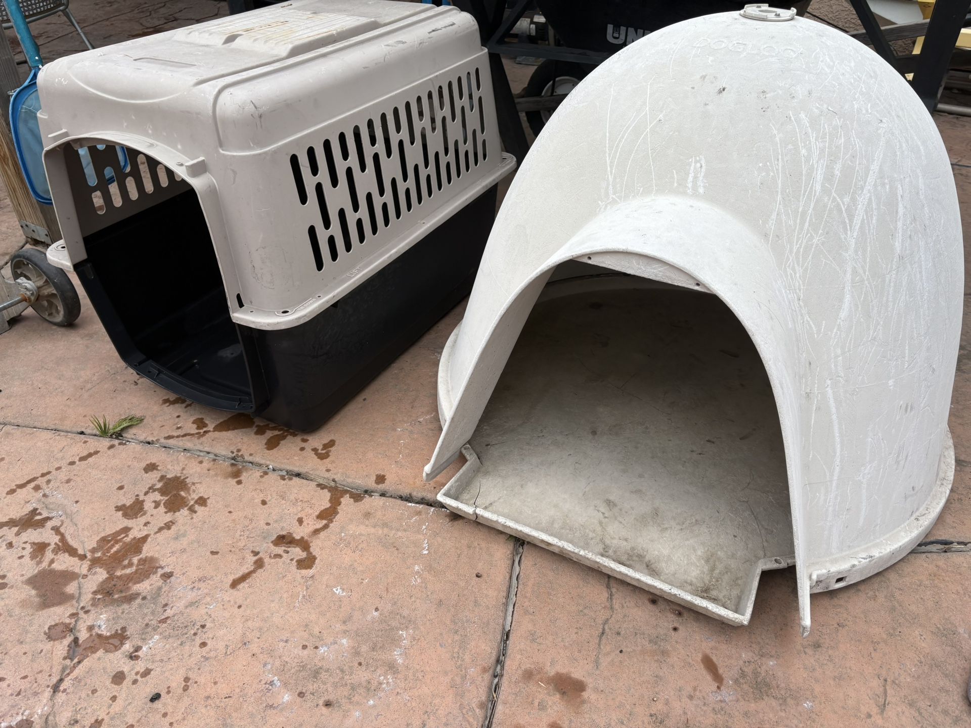 Large Dog Igloo And kennel