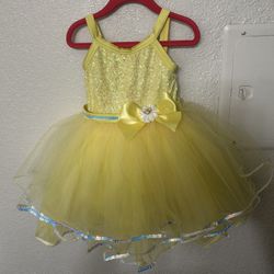 Ballet Tutu Dress 