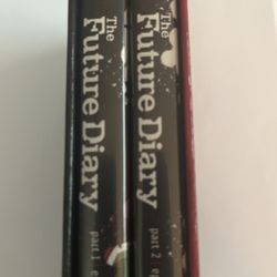 Anime “Future Diary” DVD set