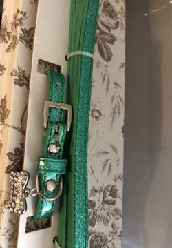 Collar and leash