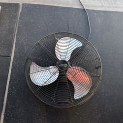Fan 
