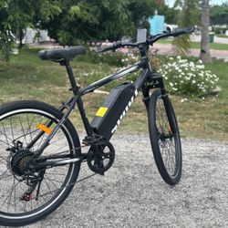 Electric Bike 