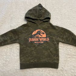 Dinosaur Sweatshirt 