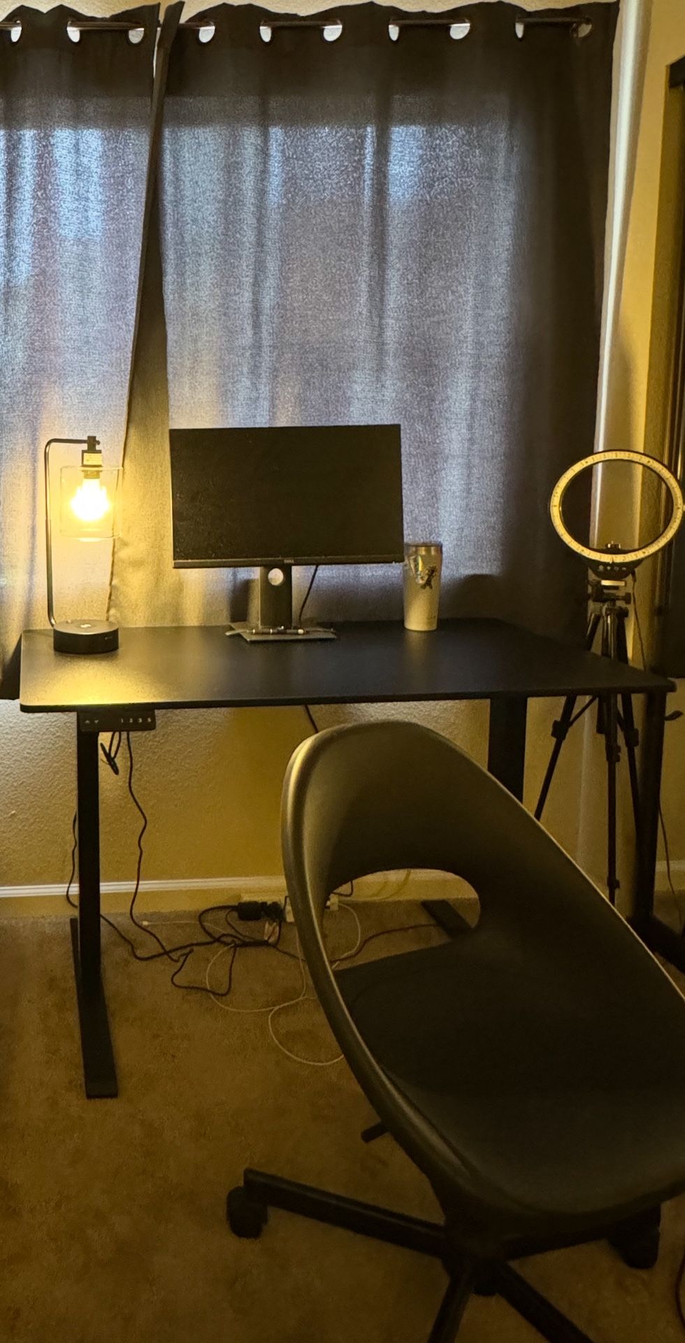 Electric Standing Desk, Black Wood, 48x24in