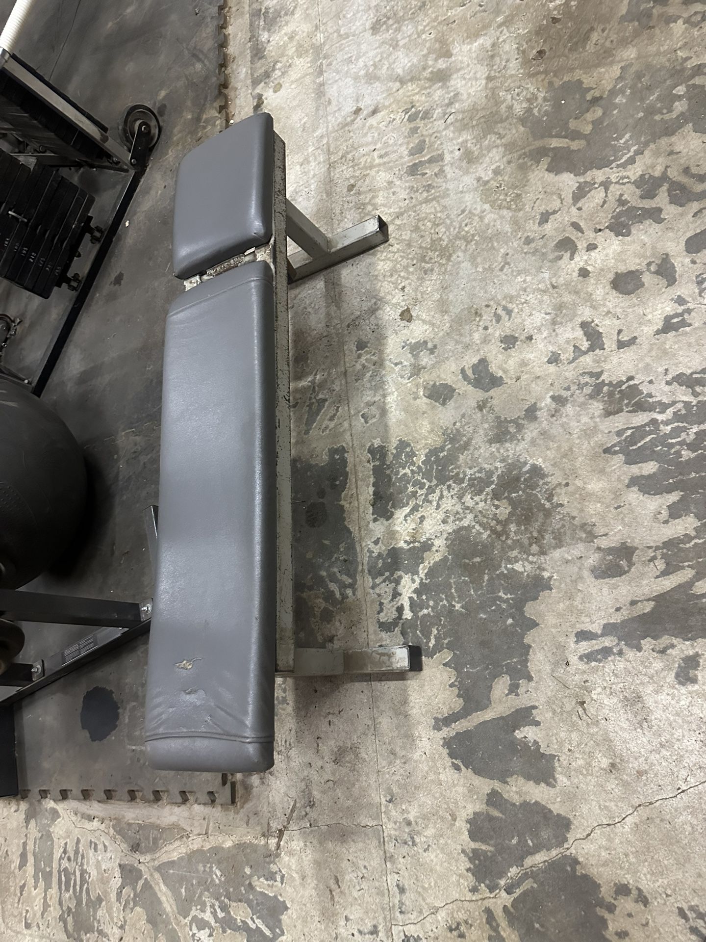 Exercise Bench
