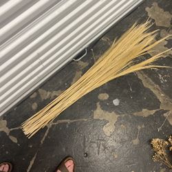 Dried Reeds Floral