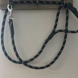 Dog Leash 
