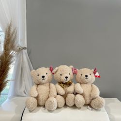 Beige Teddy Bear