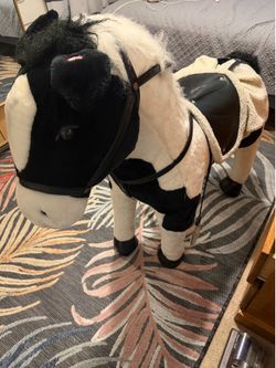 Pony