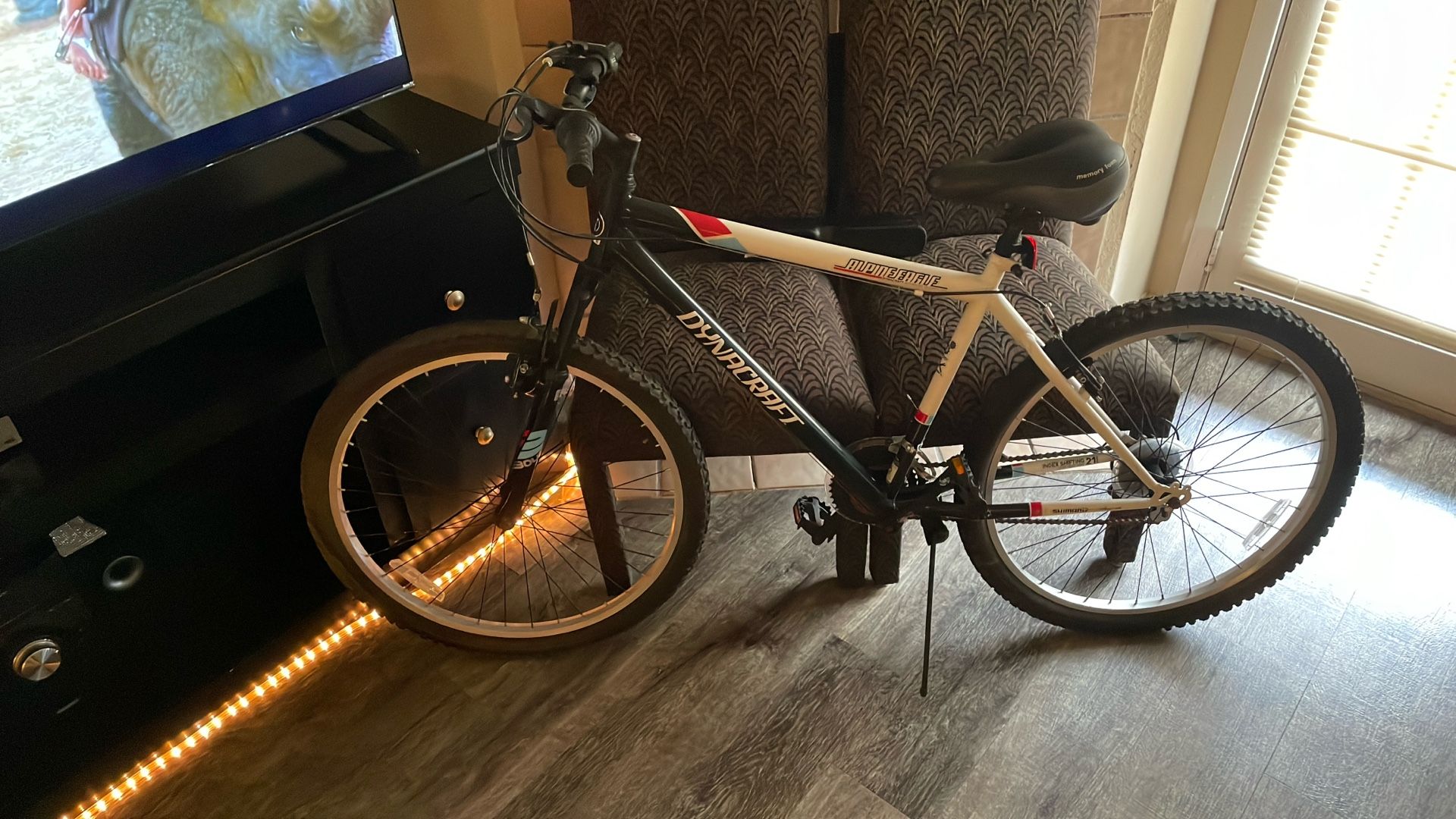 Alpine Eagle 26 inch tires mountain road bike