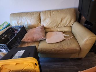 Couches and tv stand