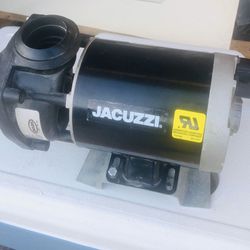 Jacuzzi pump motor 