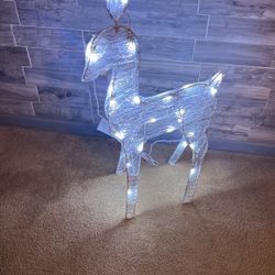 Rain Deer 🦌 