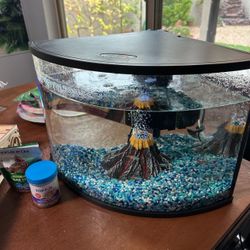 6 Gallon Fish Tank