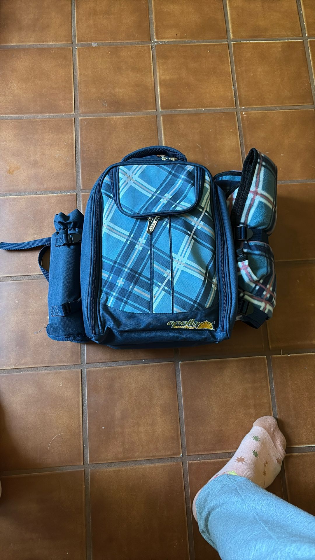 Apollo Walker Insulated Picnic Backpack with Blanket 
