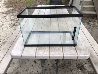 10gal Aquarium