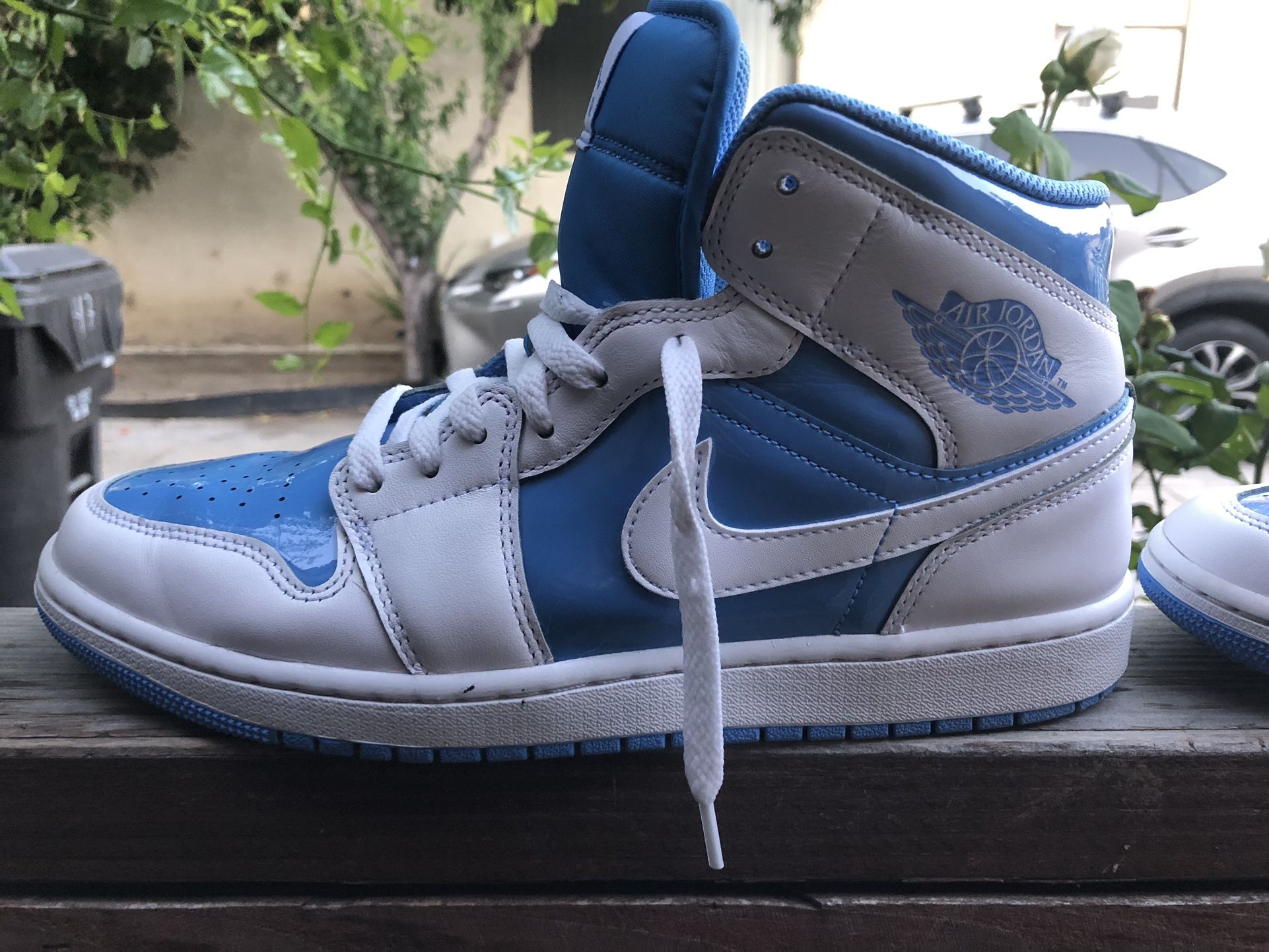 JORDAN 1 NORTH CAROLINA