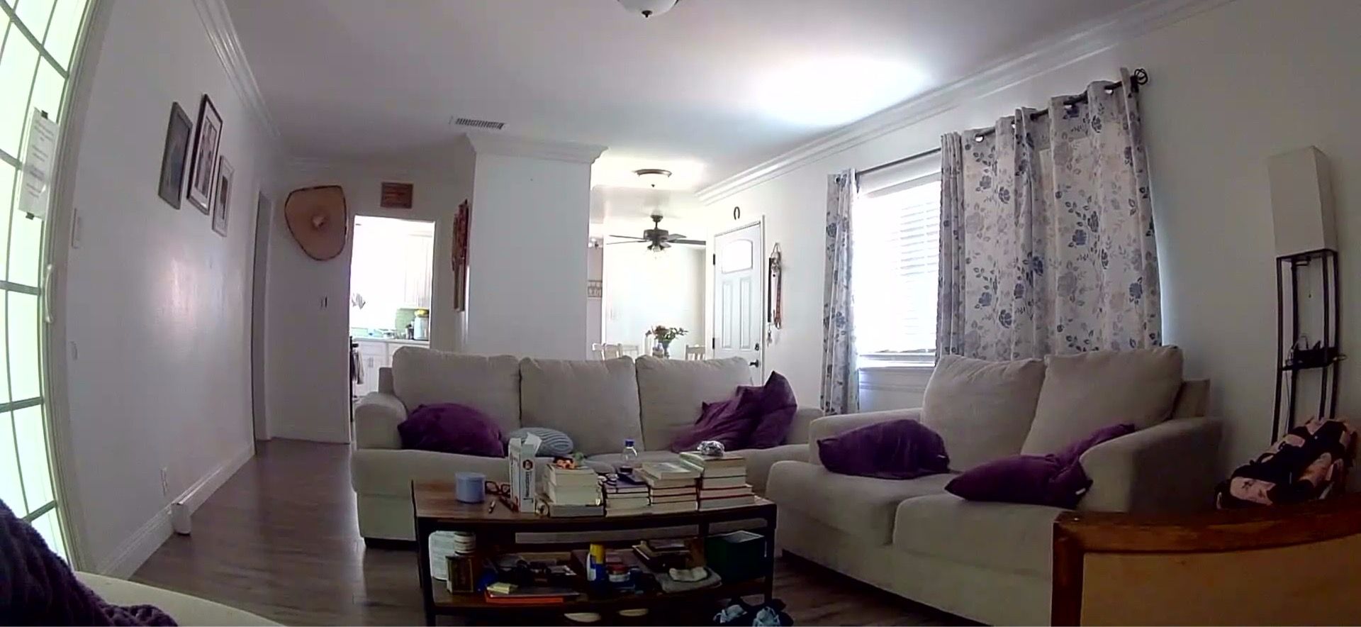 Couches for sale