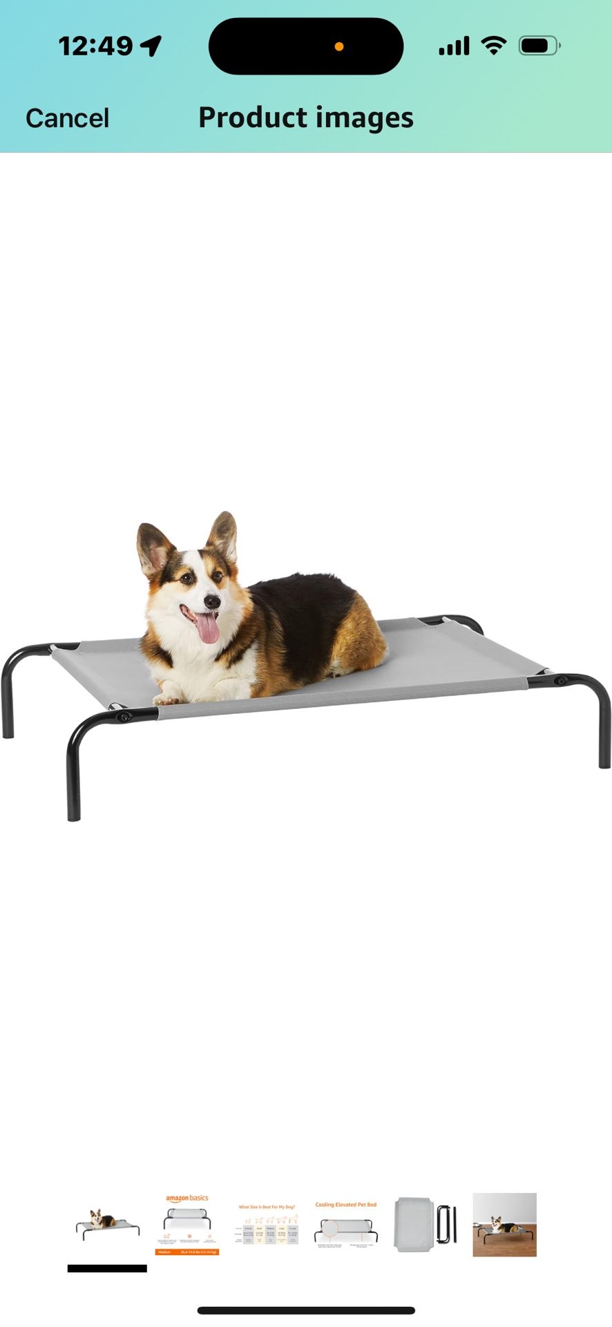 Elevated Outdoor Dog Bed medium Size