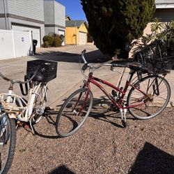 Free in La Jolla! You’re stoked!