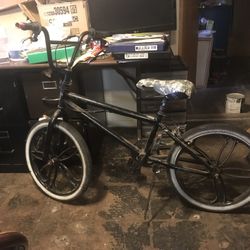 BMX Adult — Chain/Gears Well Tuned 