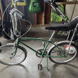 Schwinn stingray 5 Speed Bike 