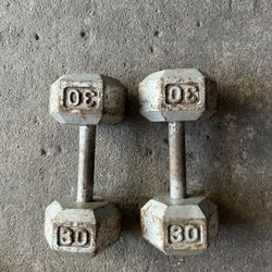 💰30lb Dumbbell💰