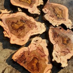 Redes Oak BURLS  Slices And Slabs 