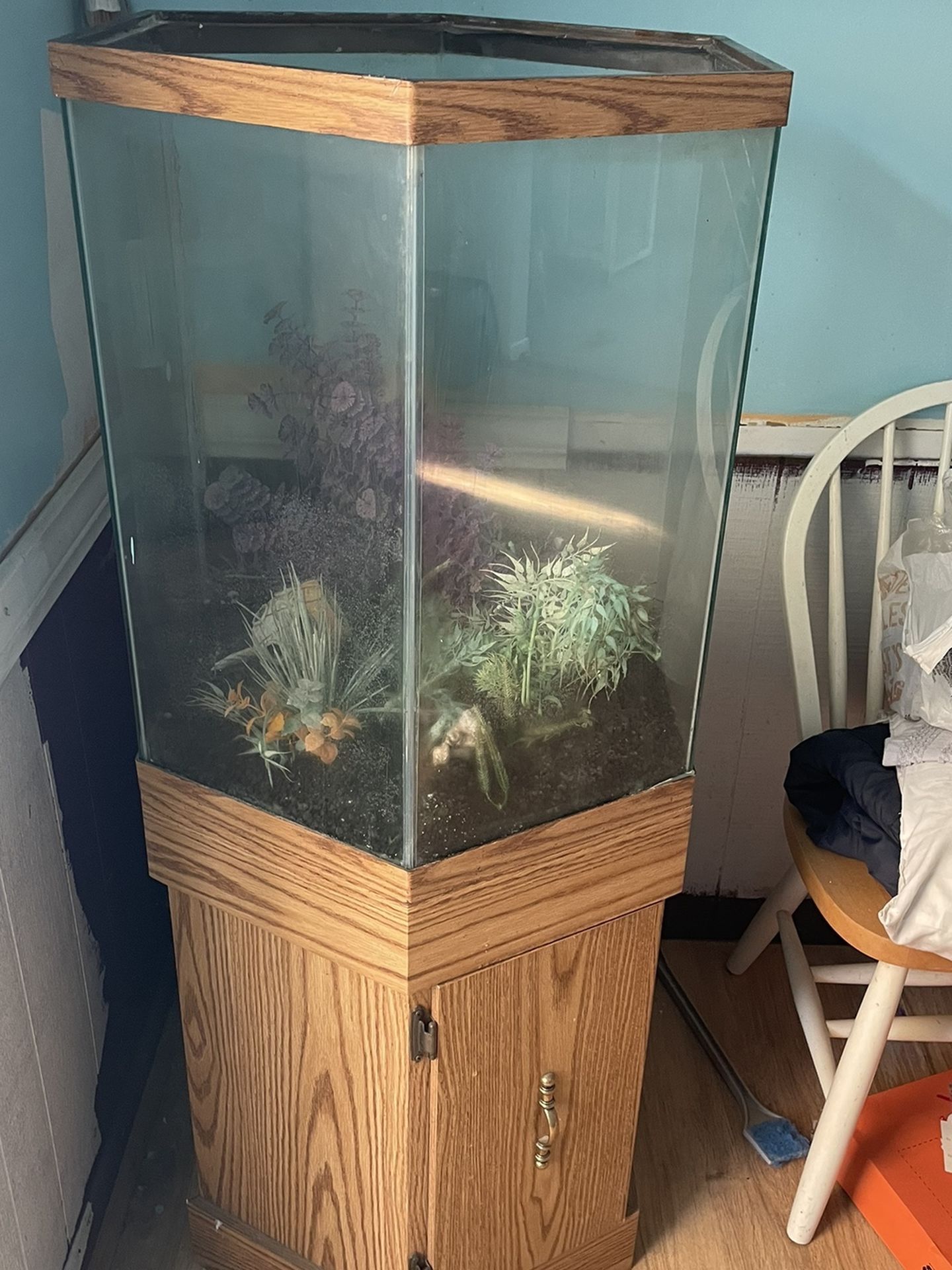 Fish Aquarium