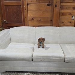 Two White Couches / Sofas 