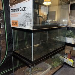 Reptile / Fish Tanks. 40 Gallon 20 Gallon Long And High. 10  Gallons