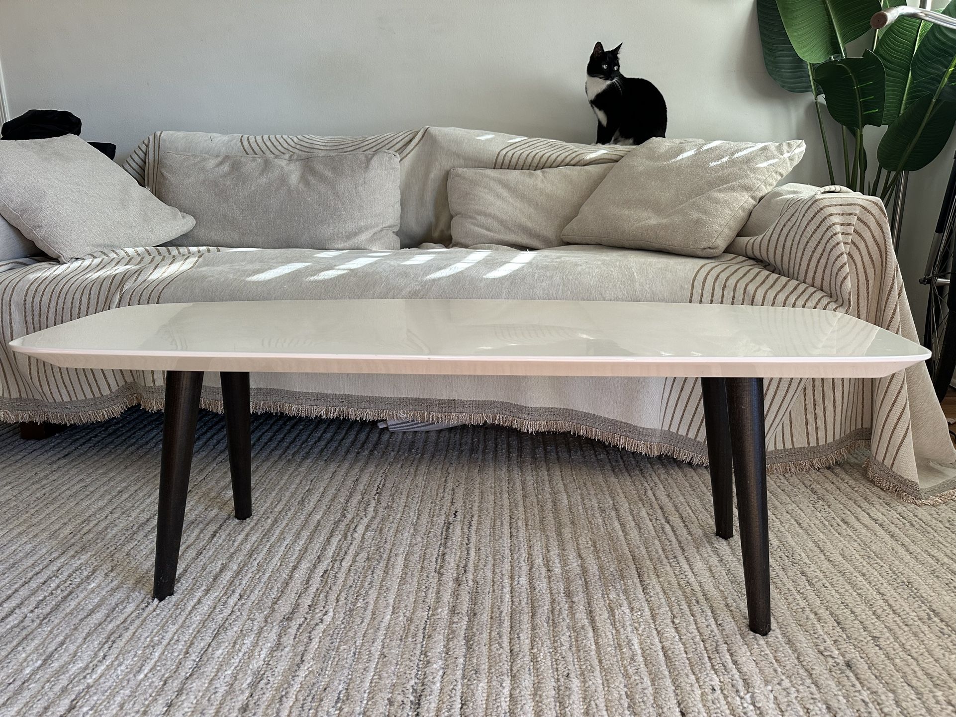 Mid Century Modern, White And Brown Coffee Table