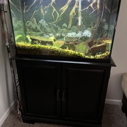 Fish Tank