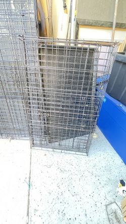 Dog Crate