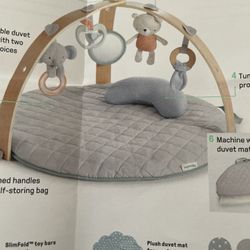 Ingenuity  Baby Activity Gym