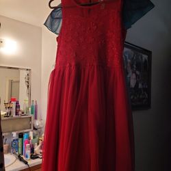 Girls Dresses..sizes 12, 14, 16